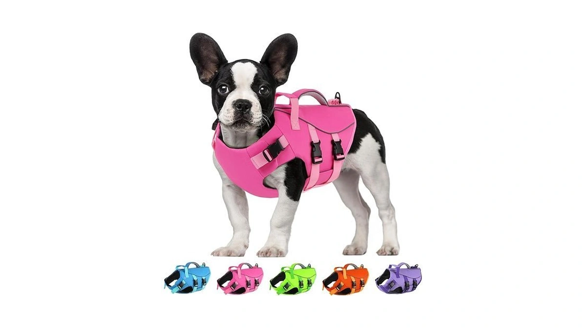 Verified image for post 311125