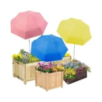 Verified image for post 311173