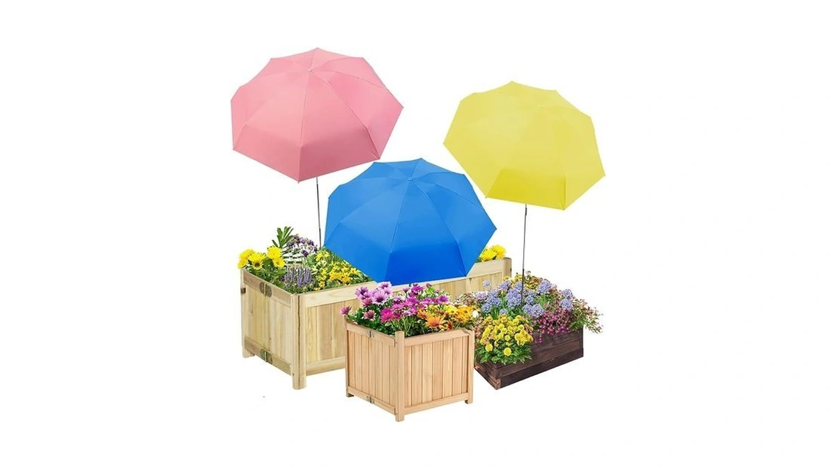 Verified image for post 311173