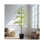 Verified image for post 311215