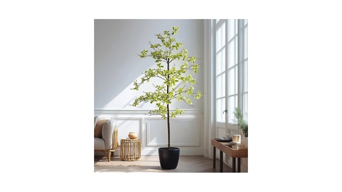 Verified image for post 311215