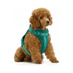 Verified image for post 311451