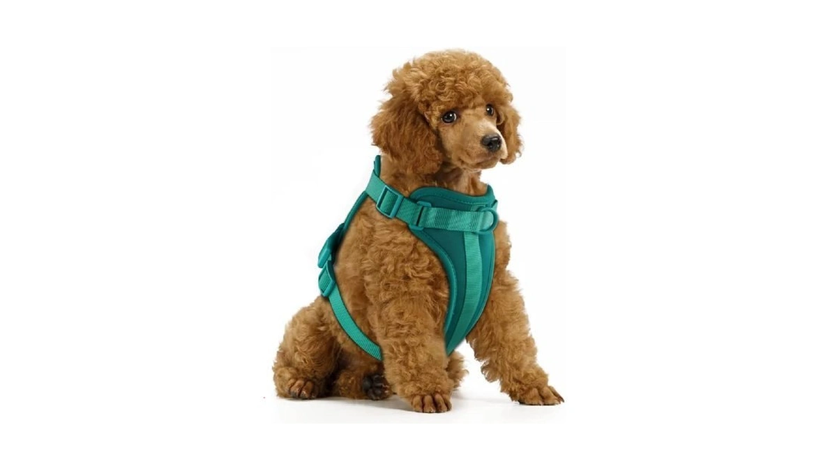 Verified image for post 311451