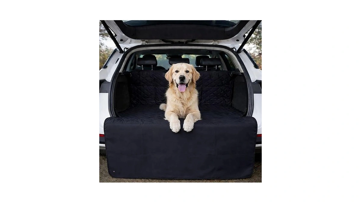 Verified image for post 311957