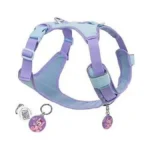 Verified image for post 312231