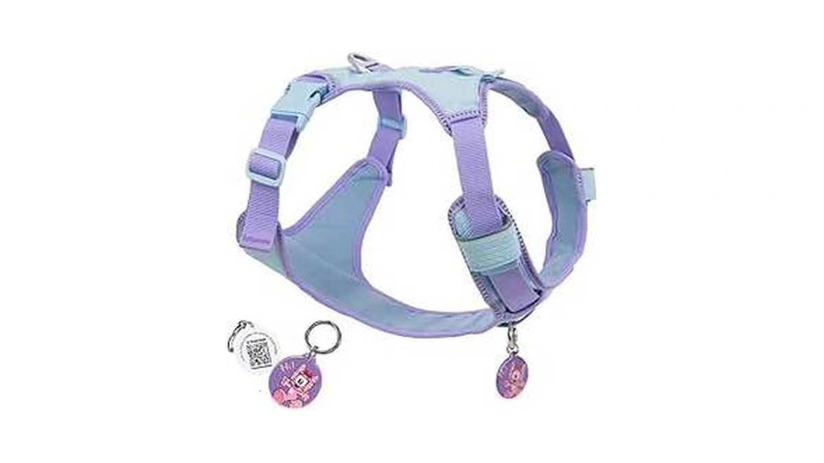 Verified image for post 312231