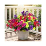 Verified image for post 312613