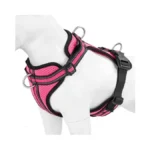 Verified image for post 312702