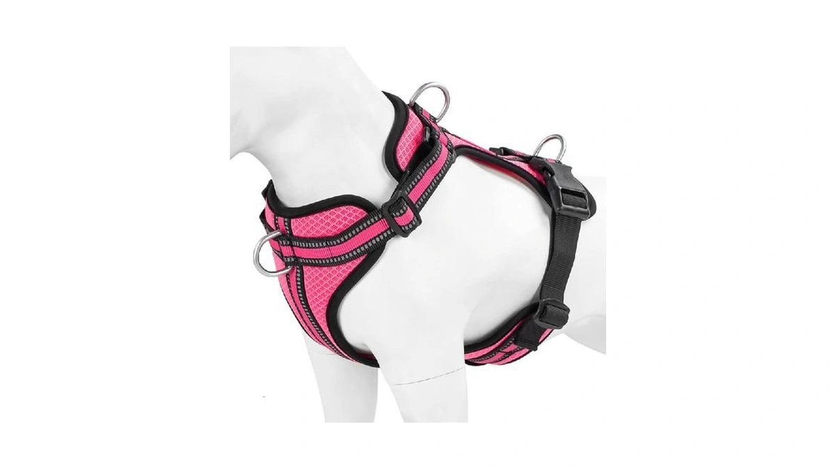 Verified image for post 312702