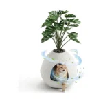 Verified image for post 312776