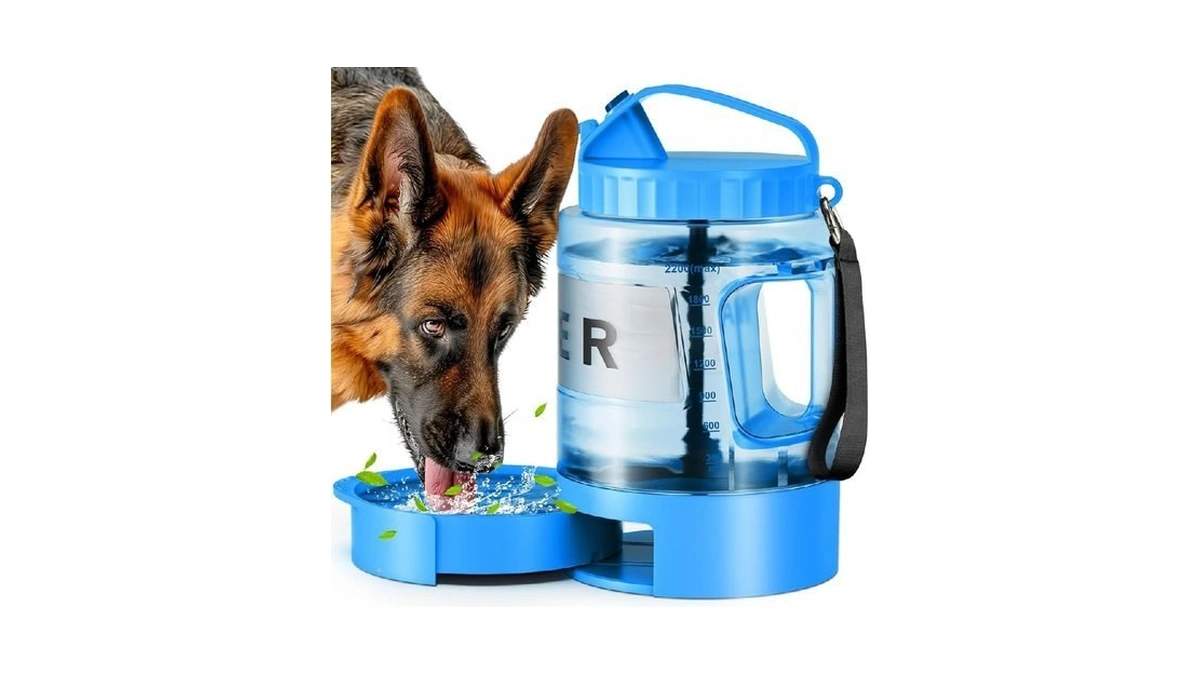 Verified image for post 312982