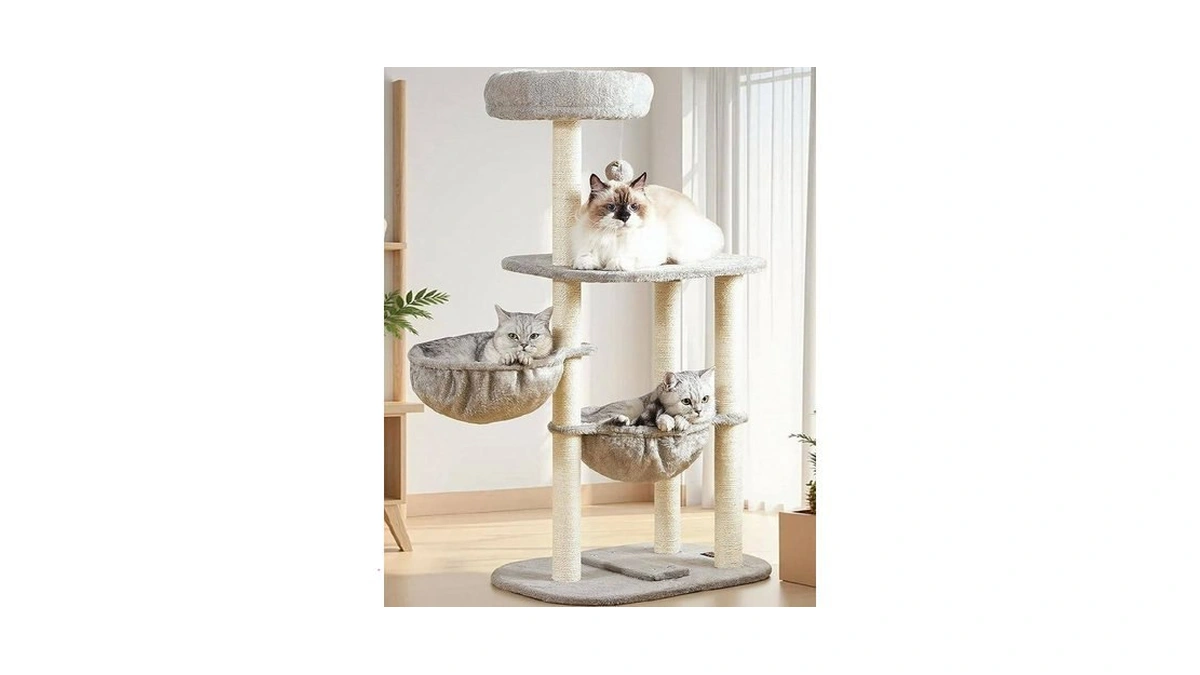 Verified image for post 313362