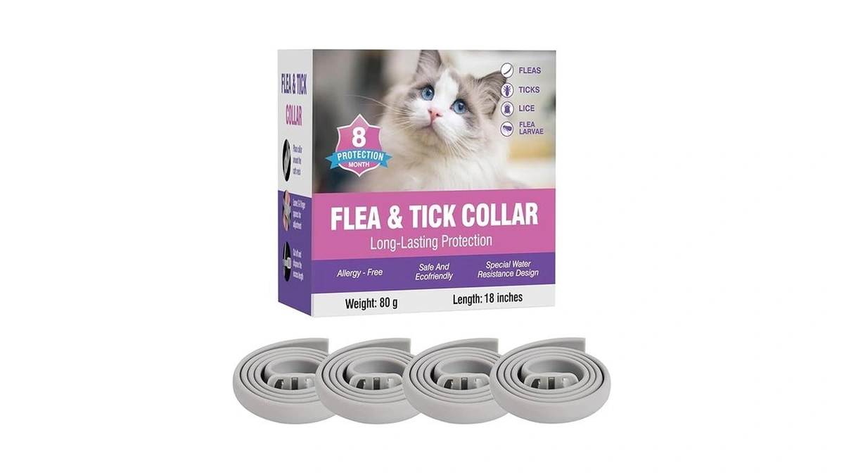 Verified image for post 313546