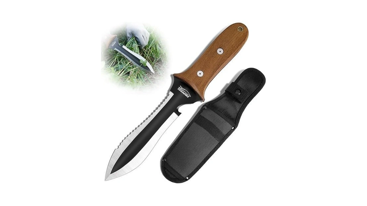 Verified image for post 313782