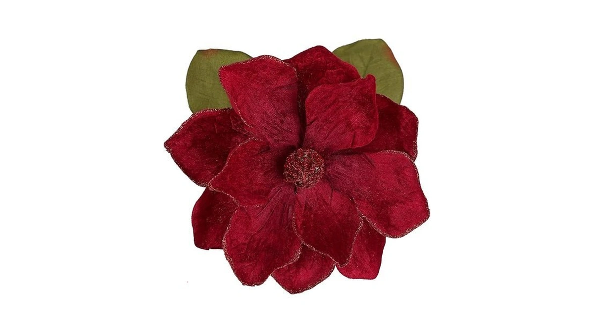 Verified image for post 313794