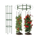 Verified image for post 314170