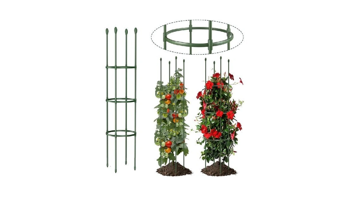 Verified image for post 314170