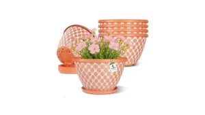 Nooulap 6 Pack 8 Inch Plant Pot Flower Pots For… Code