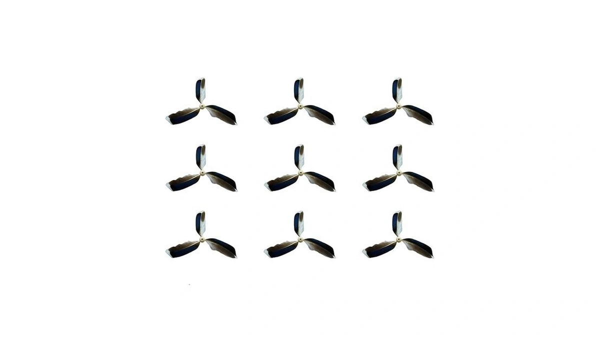 Verified image for post 316126