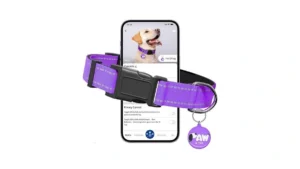 Reflective Dog Collar For Large Dogs With Dog Tags… Code