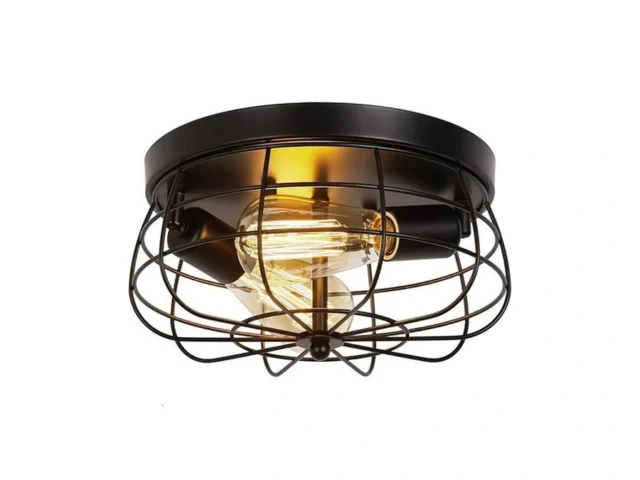Foucasal Industrial Black Flush Mount Ceiling Light… – Coupon