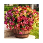 Artificial Flowers For Outdoor 16 Bundles Uv... - Coupon