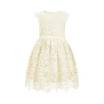 Allovin Girls Toddlers Sleeveless A-line Lace Party... - Coupon