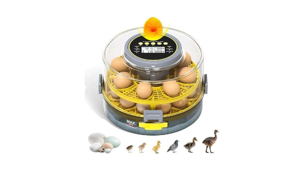 Egg Incubator For Hatching Eggs 20-egg Capacity... - Coupon
