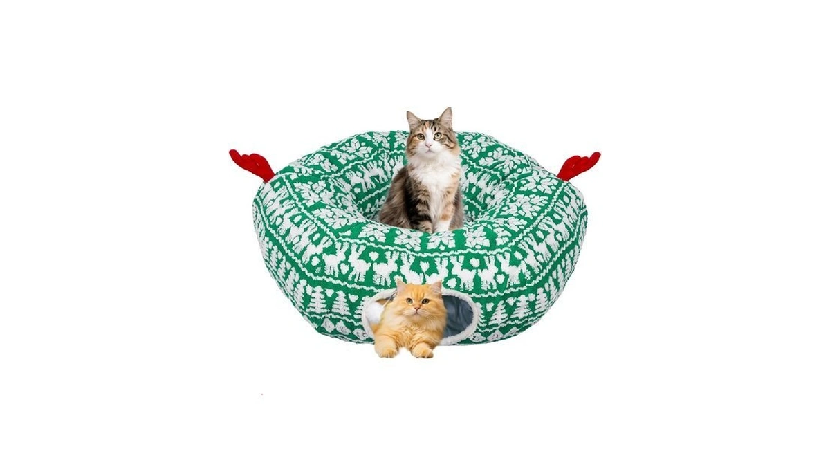 Petrendy Cat Tunnel Bed Cute Cat Tunnels For Indoor... - Coupon