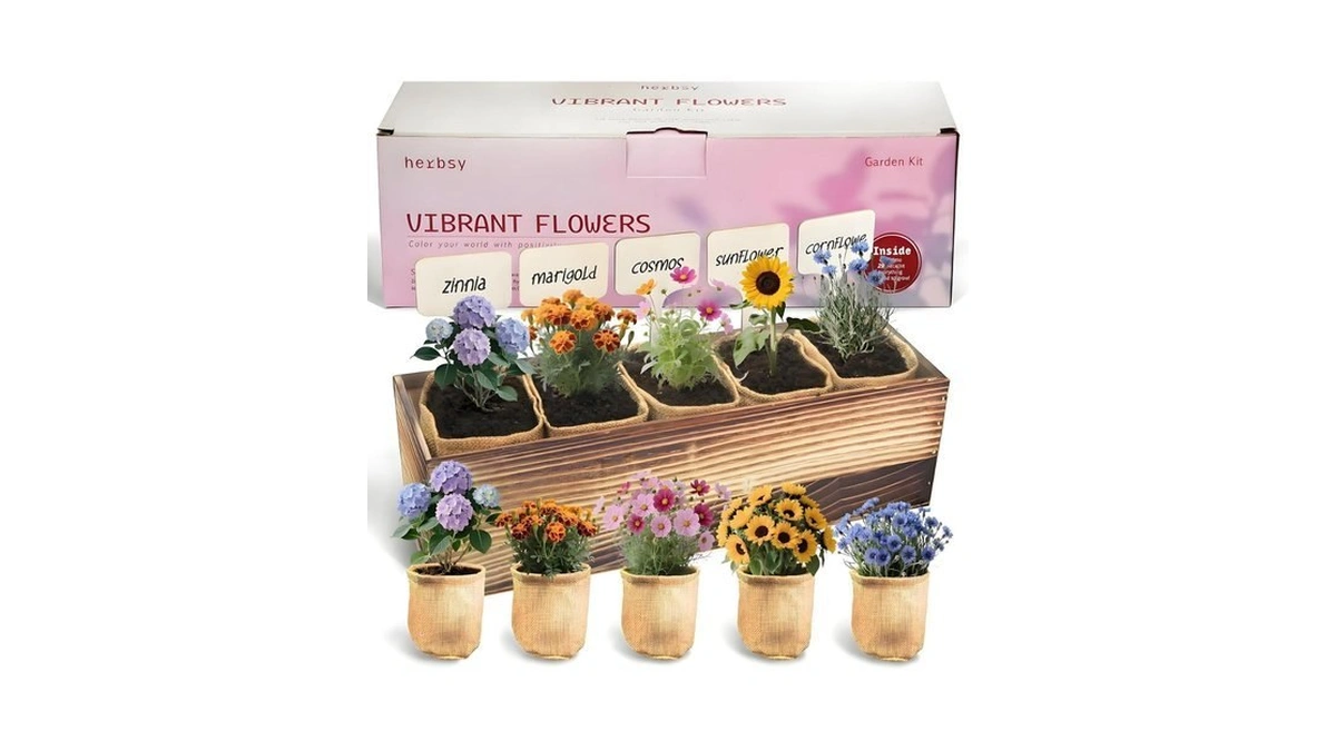 Herbsy 5 Indoor Flower Growing Kit Complete... - Coupon