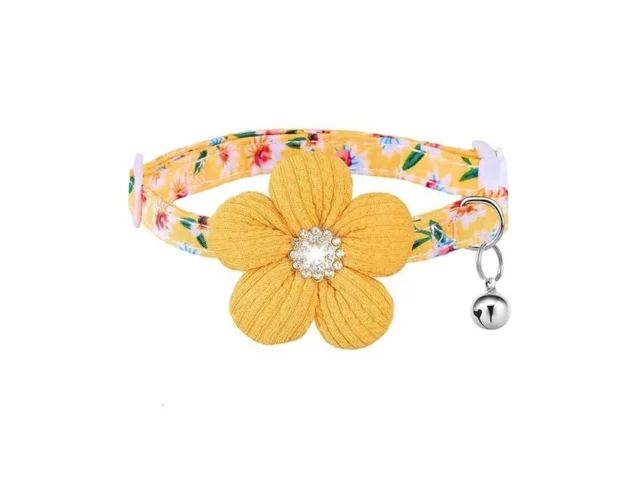 Cat Collar Hyqhyx Breakaway Kitten Collar With… – Coupon