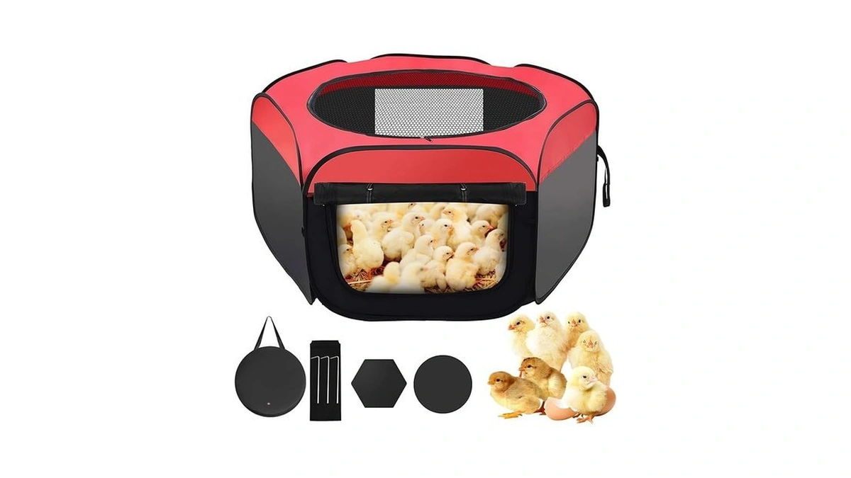 Chicken Brooder Box For Chick Starter Kit Double... - Coupon