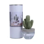 Pretty Valley Home Reed Diffuser Set Ceramic Cactus... - Coupon