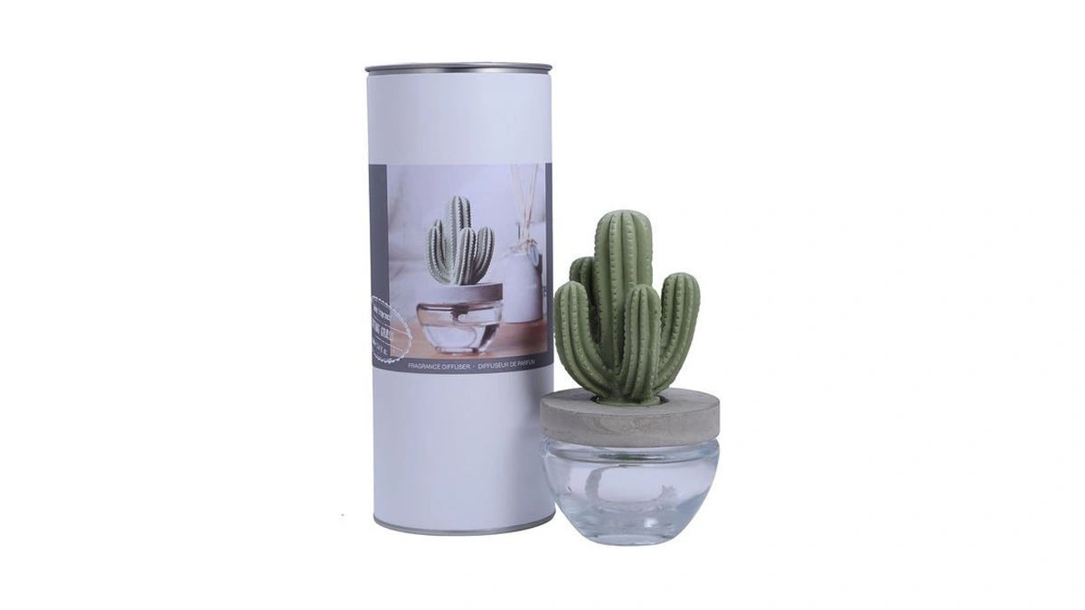 Pretty Valley Home Reed Diffuser Set Ceramic Cactus... - Coupon