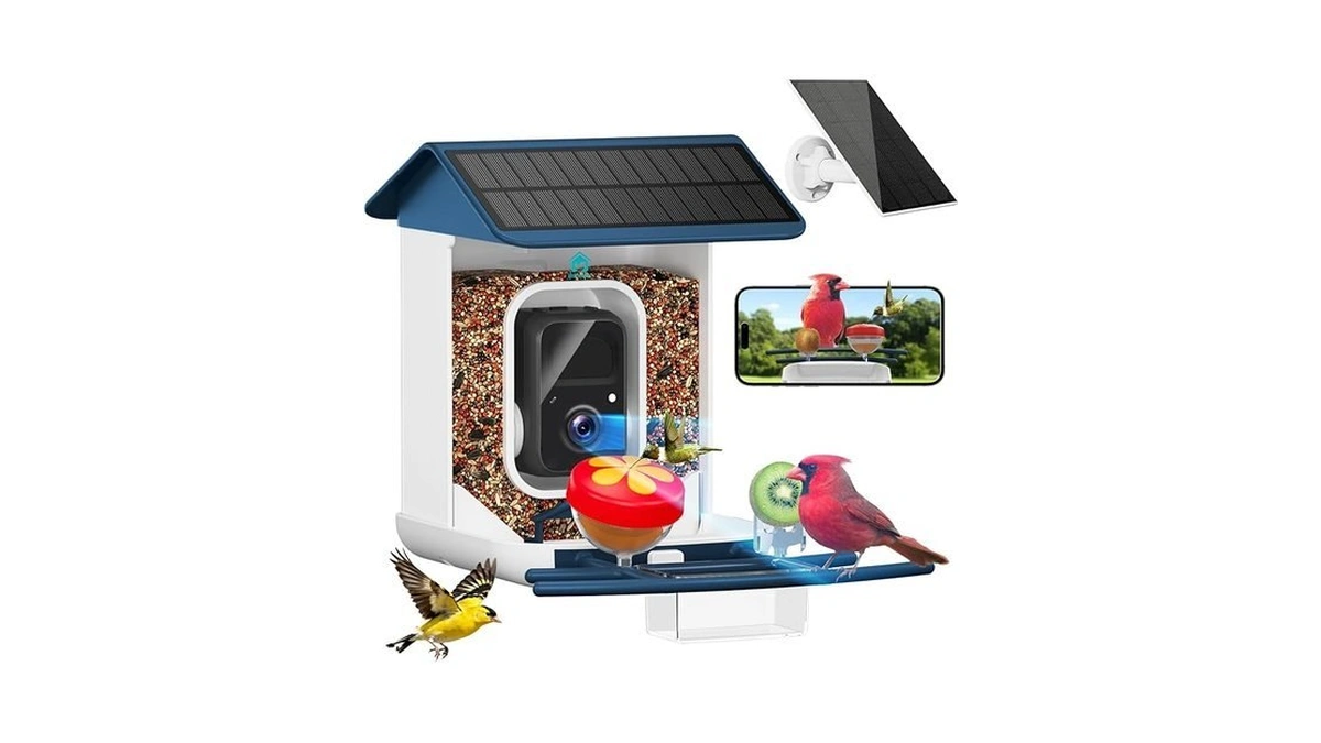 Broaimx Smart Bird Feeder With Camera-ai Identify... - Coupon