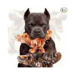 Chienbox 2 Pack Indestructible Dog Chew Toys For... - Coupon