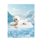 Timsunber Dog Cooling Mat - Instant Cooling Pet Bed... - Coupon