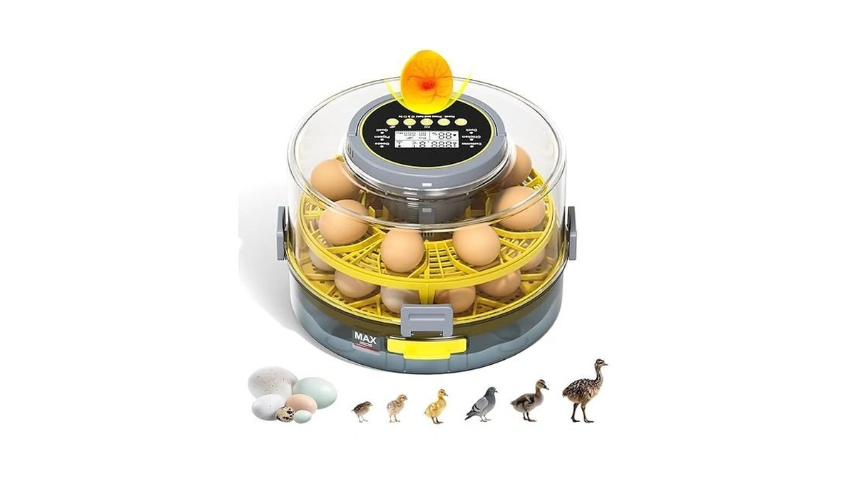 Egg Incubator For Hatching Eggs 20-egg Capacity... - Coupon