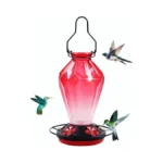 Glass Hummingbird Feeder For Outdoors Hanging 25oz... - Coupon