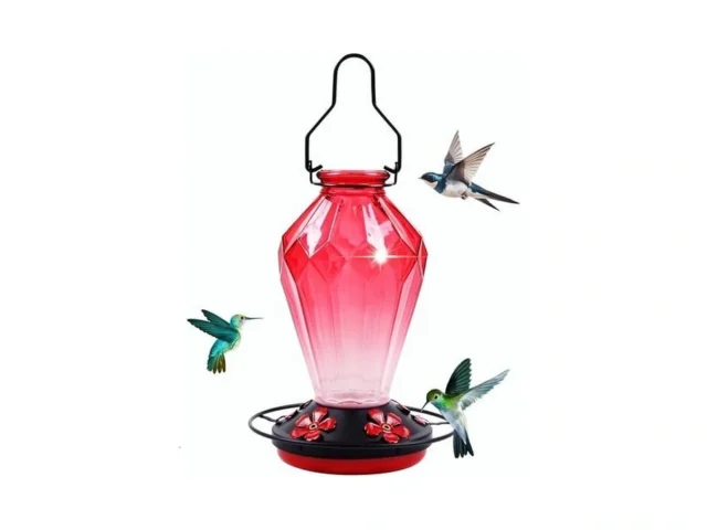 Glass Hummingbird Feeder For Outdoors Hanging 25oz… – Coupon