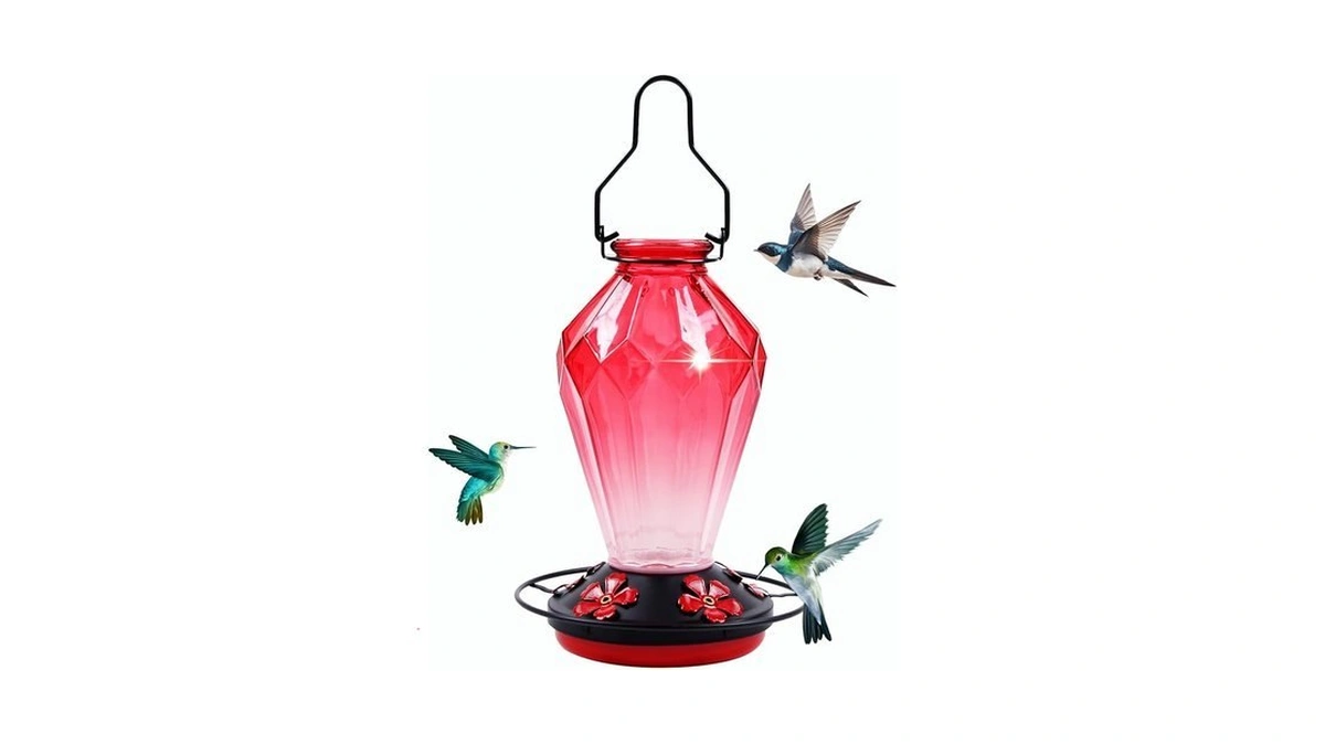 Glass Hummingbird Feeder For Outdoors Hanging 25oz... - Coupon