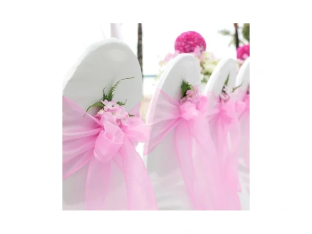 Bit Fly 50 Pcs Organza Chair Sashes For Wedding… – Coupon