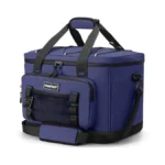 Hulongo Insulated Foldable Collapsible Cooler Bag... - Coupon