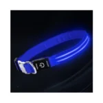 Led Dog Collar With Metal Buckle - Usb Rechargeable... - Coupon