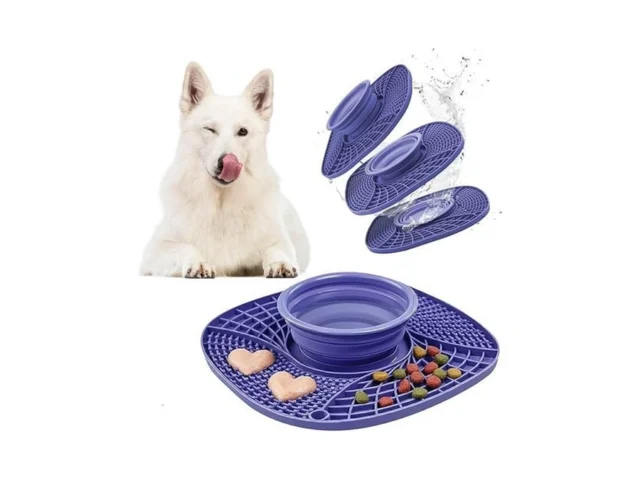 Bellebête Co 3-in-1 Pet Slow Feeder Bowl Lick Mat… – Coupon
