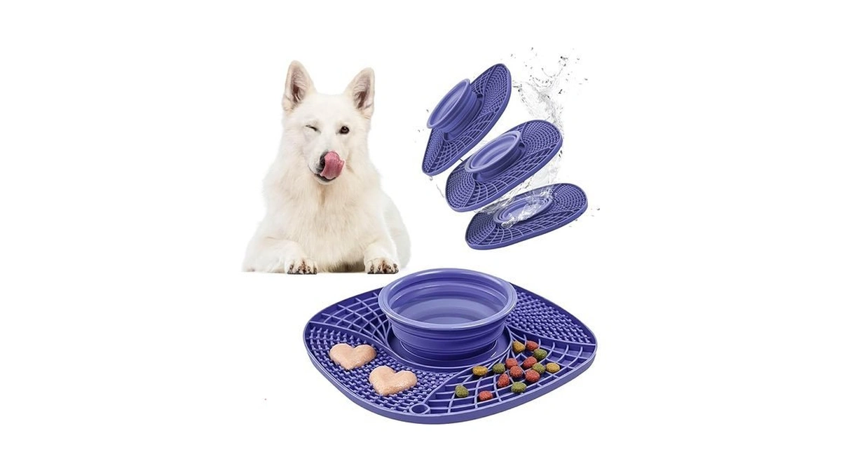 Bellebête Co 3-in-1 Pet Slow Feeder Bowl Lick Mat... - Coupon