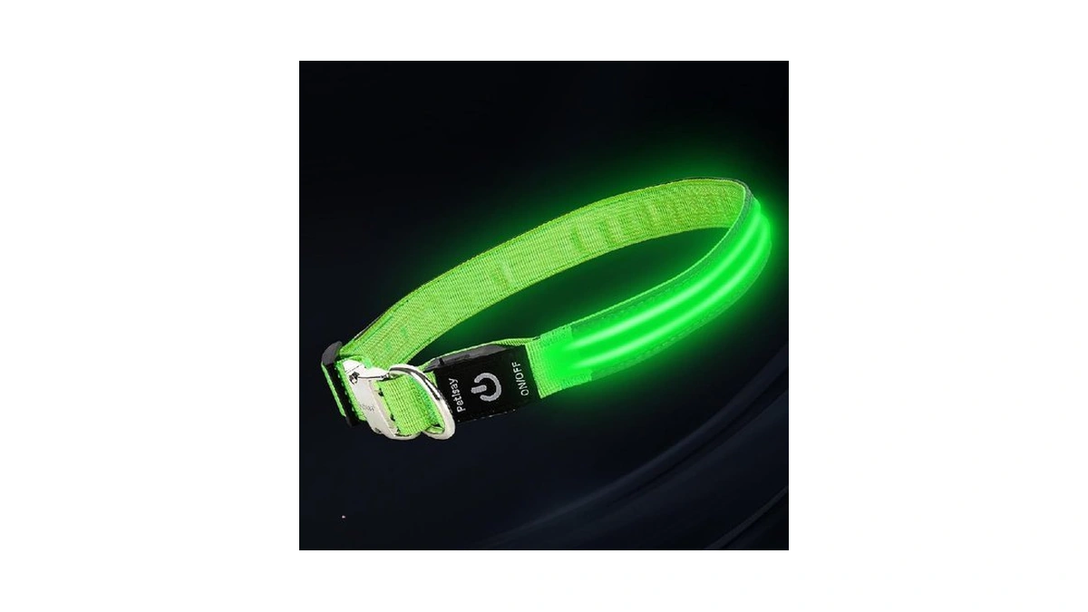 Led Dog Collar With Metal Buckle - Usb Rechargeable... - Coupon