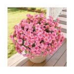 Lnoicy 16 Bundles Realistic Artificial Camellia... - Coupon