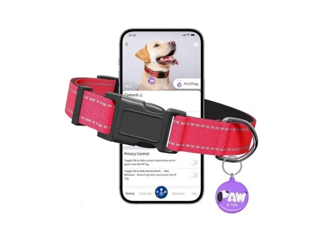 Reflective Dog Collar For Small Dogs With Dog Tags… – Coupon