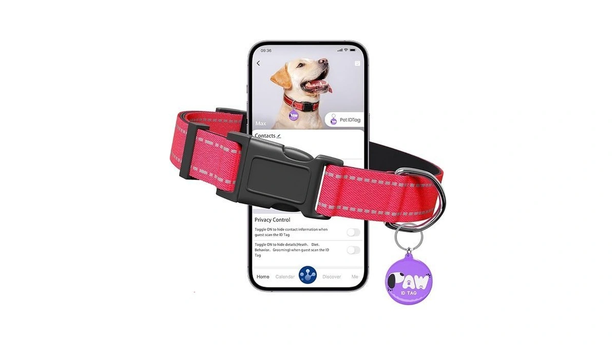 Reflective Dog Collar For Small Dogs With Dog Tags... - Coupon